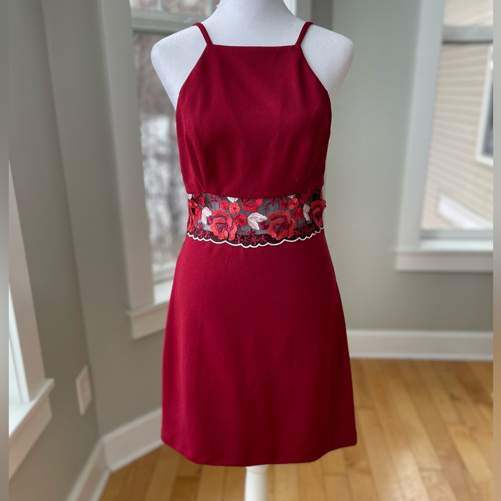 Vintage 90’s Y2K Teaze Me Red Mini Dress with Sheer Floral Embroidered Mesh 7/8
